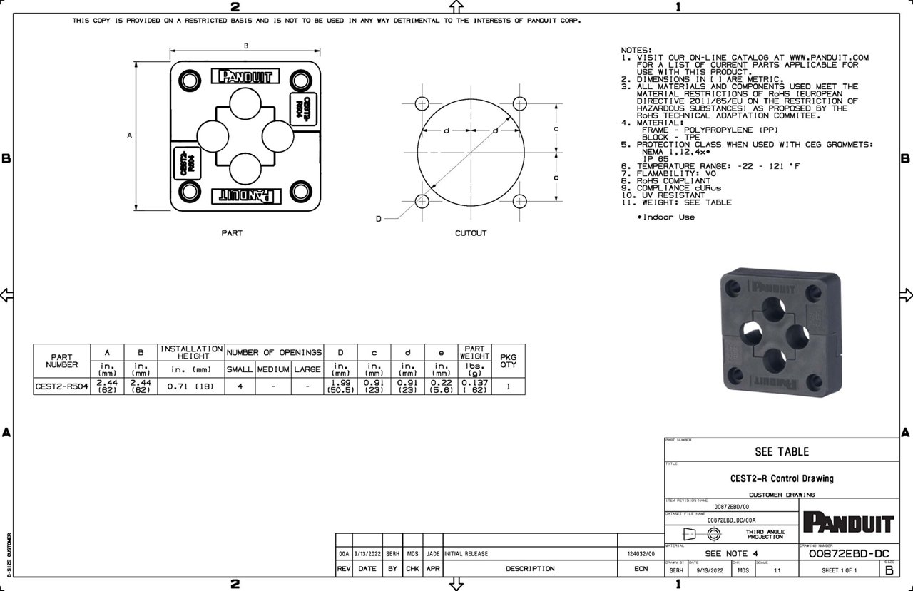 CEST2-R Family Drawing
