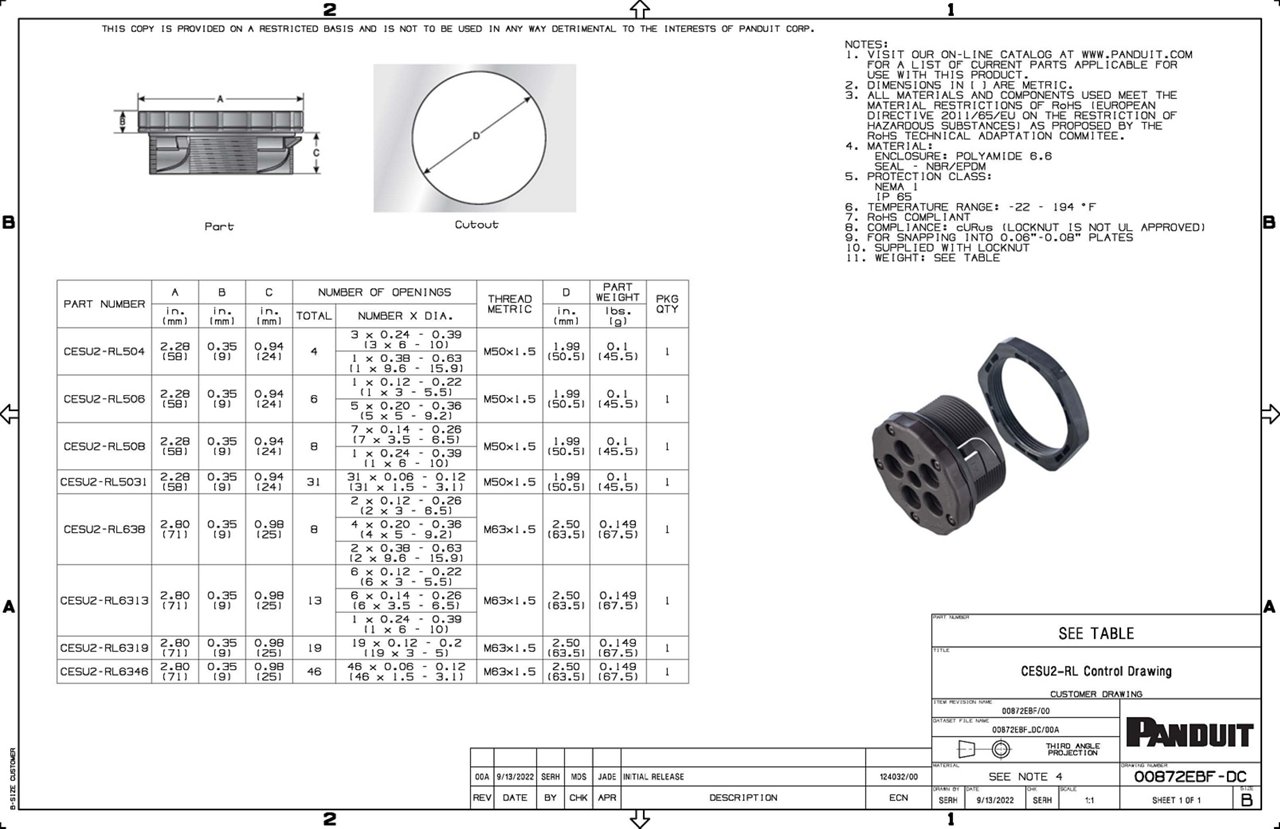 CESU2-RL Family Drawing