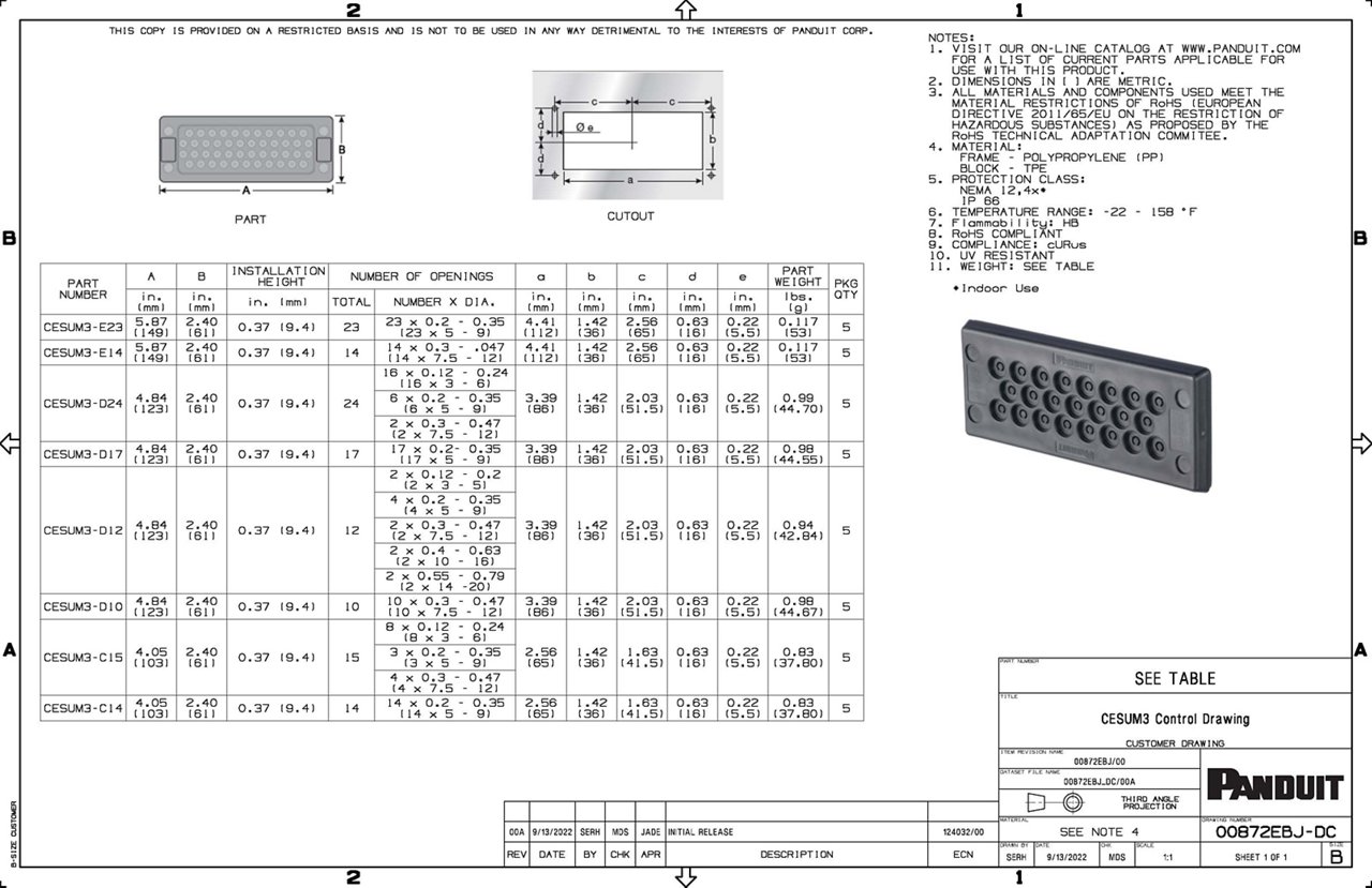 CESUM3 Family Drawing