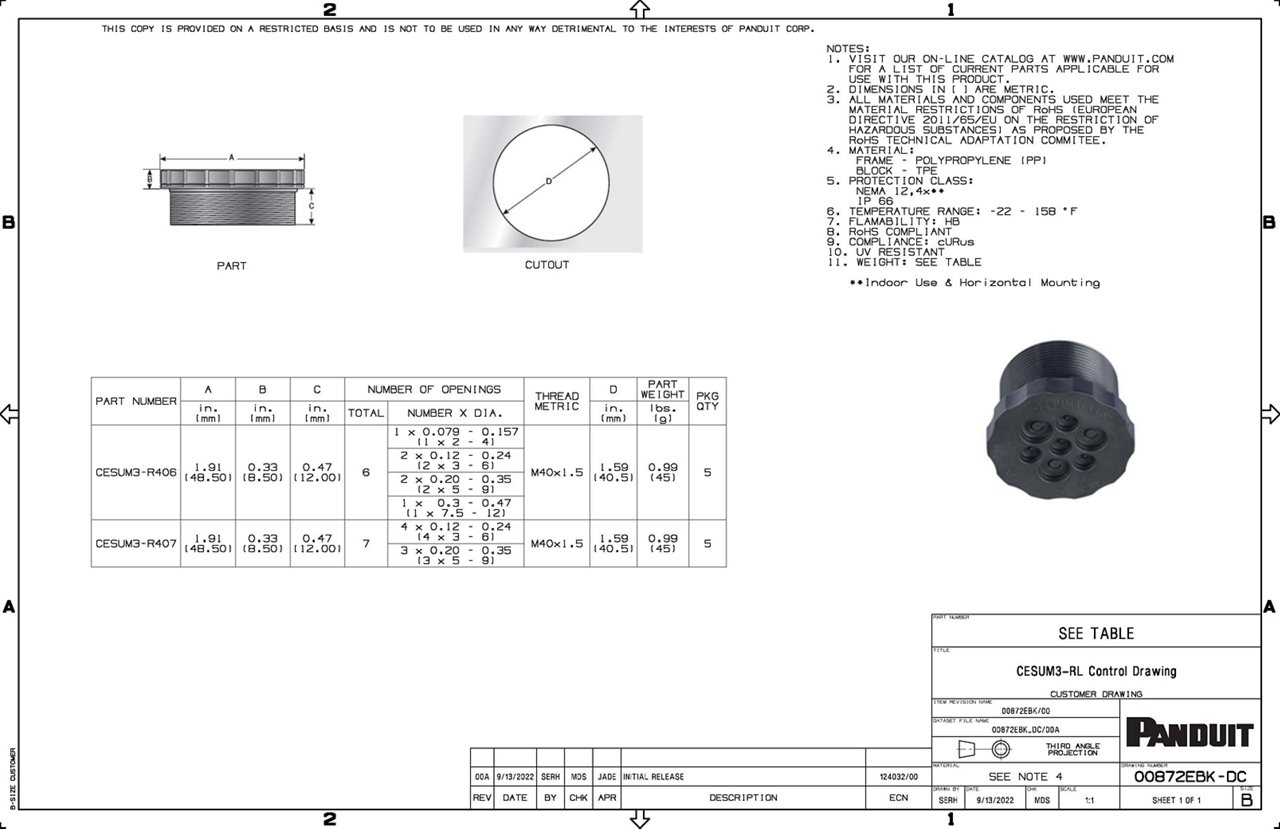 CESUM3-RL Family Drawing