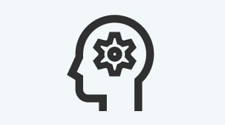 Dedicated Project Manager