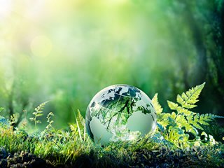 Small globe of earth on moss in the forest