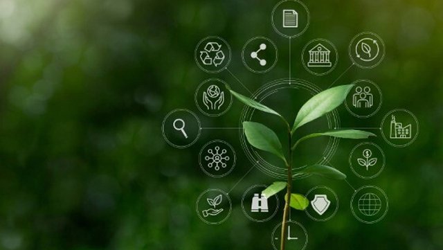 A plant growing and showing icons of important sustainability features 