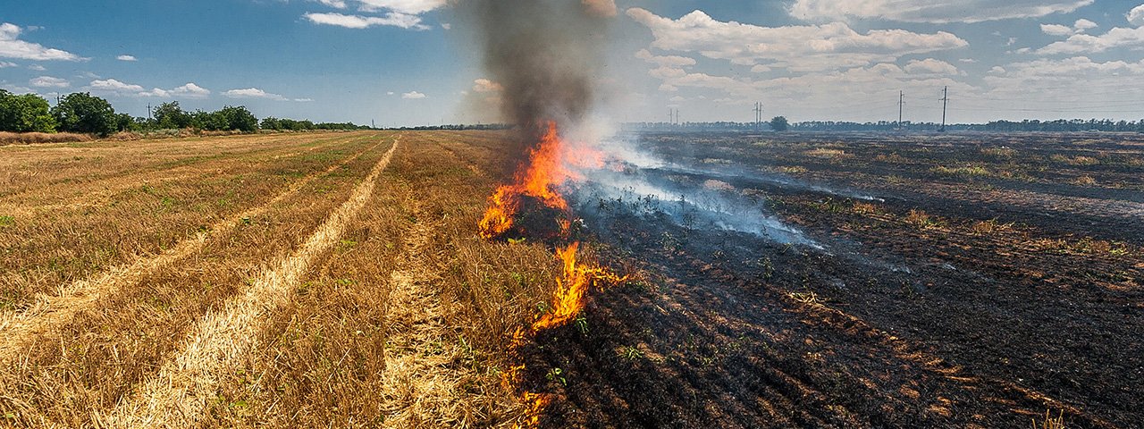 a fire moves through a harvested crop field, with flames and smoke against a blue sky