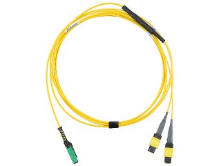 MMC-16 to MPO-8 Interconnect