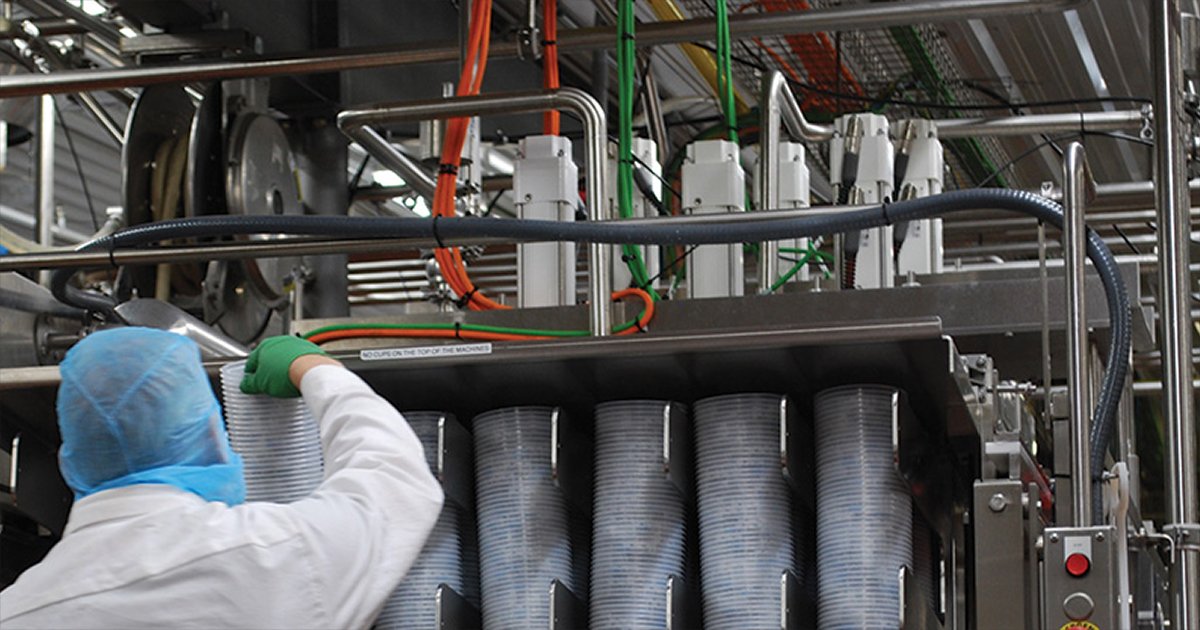 a worker stacks cups in a production line at the noosa yoghurt factory