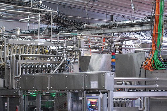 green and orange networking cables connect processing equipment at the noosa yoghurt production plant