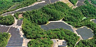 Aerial view of thousands of solar panel arrays in a field with forest trees  