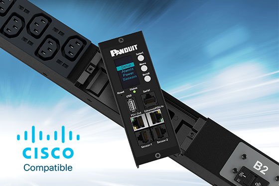 Dedicated Project Manager