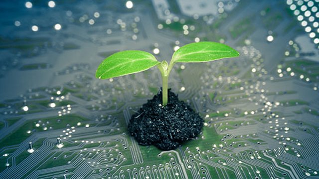 Plant on computer chip