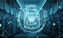 Network Infrastructure Security 