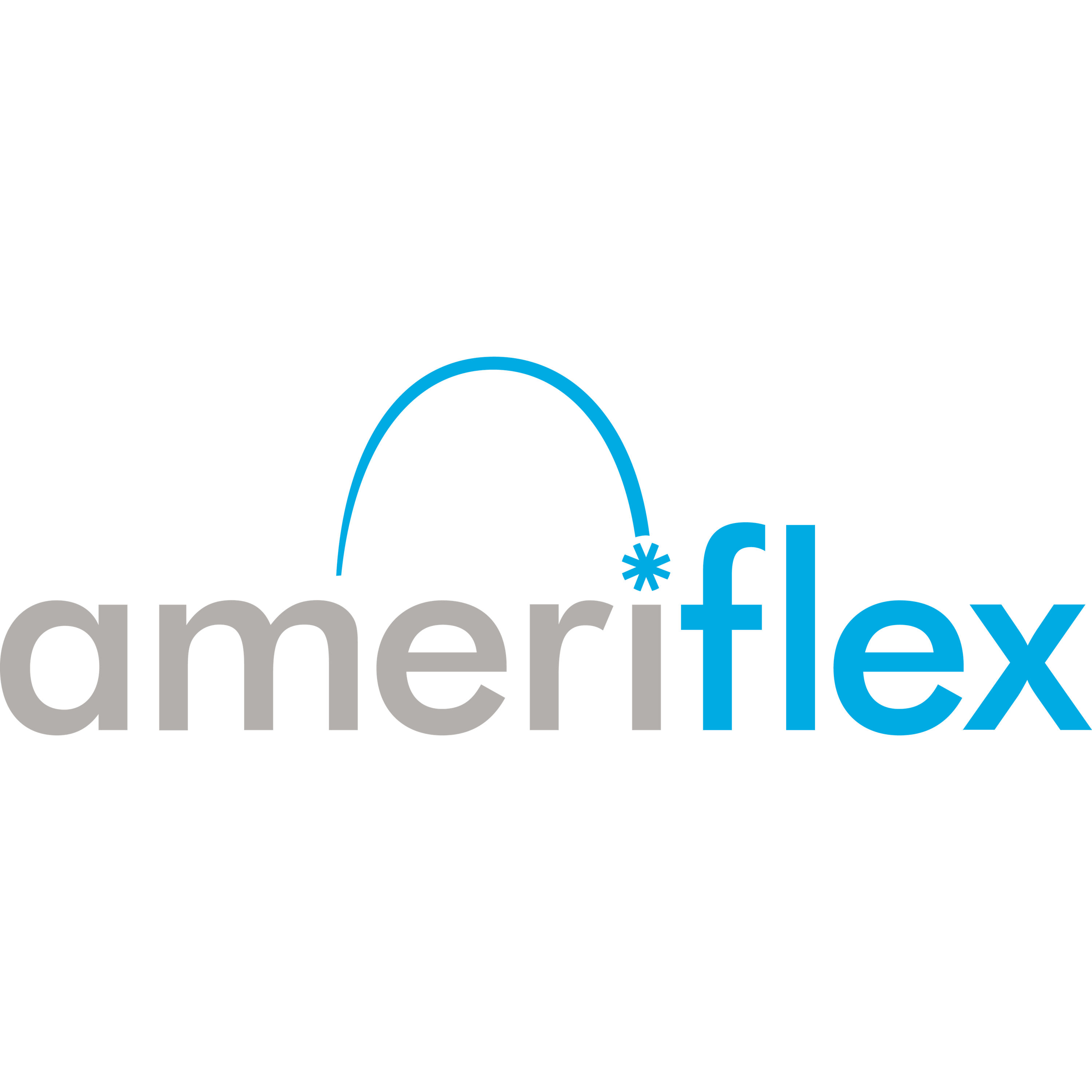Ameriflex 