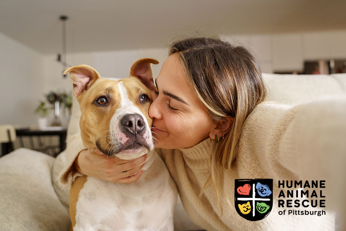 Animal Rescue Center Finds its Perfect Match for HR Efficiency