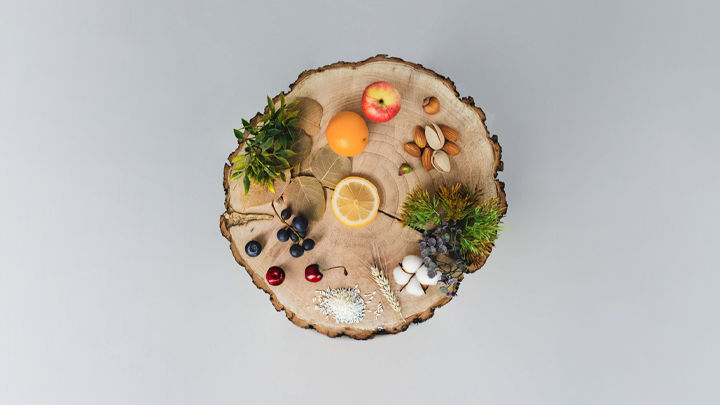 Agriculture Timber Market Update