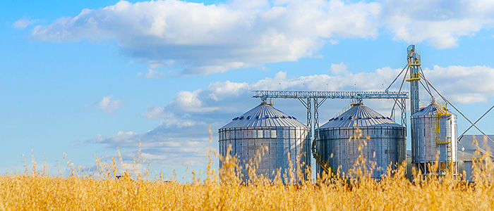 Associated Feed & Supply Co