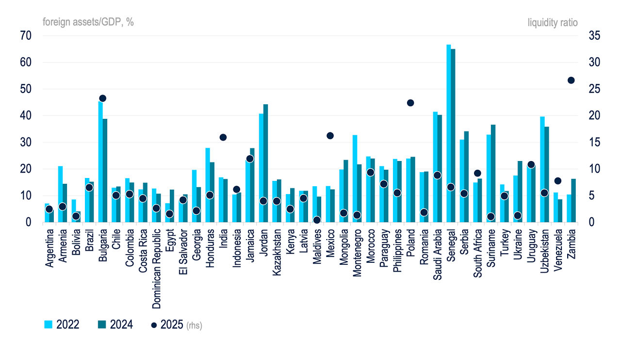 Foreign Assets and Liquidity / GDP (%).