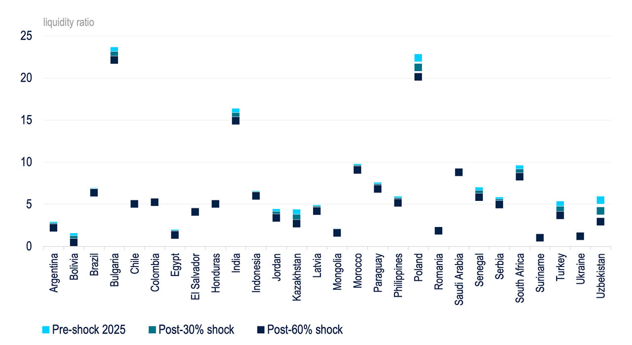 Impact of a gold price shock on liquidity in nearly 30 countries.