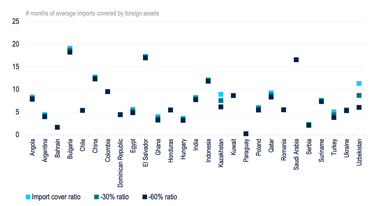 Number of months of average imports covered by foreign assets.