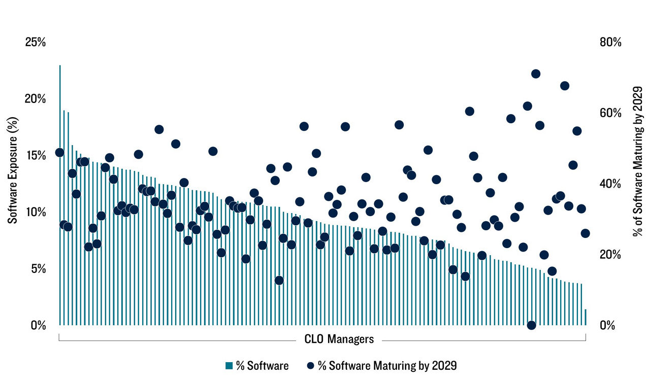 Exhibit 3: Software Exposure vs. Near Term Maturities
