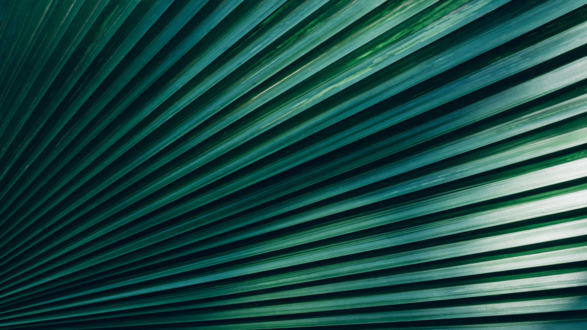 Portfolio Implications of a Higher US Inflation Regime