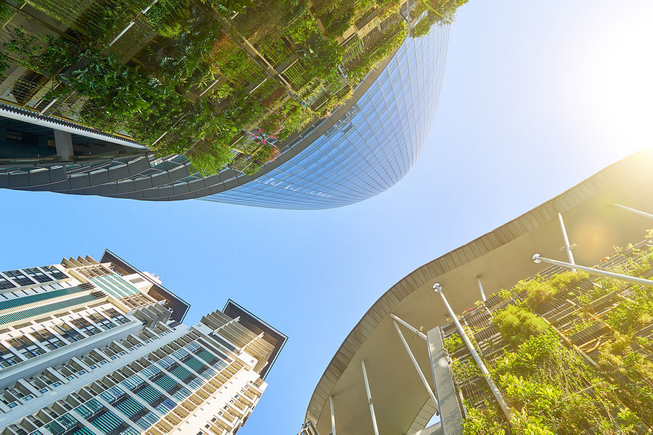 Panoramic and perspective wide angle view of steel and glass city buildings with clear sky and green background . Kuala Lumpur , Malaysia .