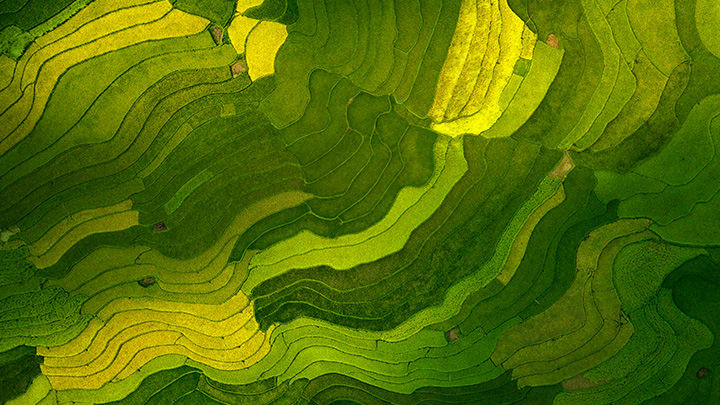 Why We're Fixed on ESG