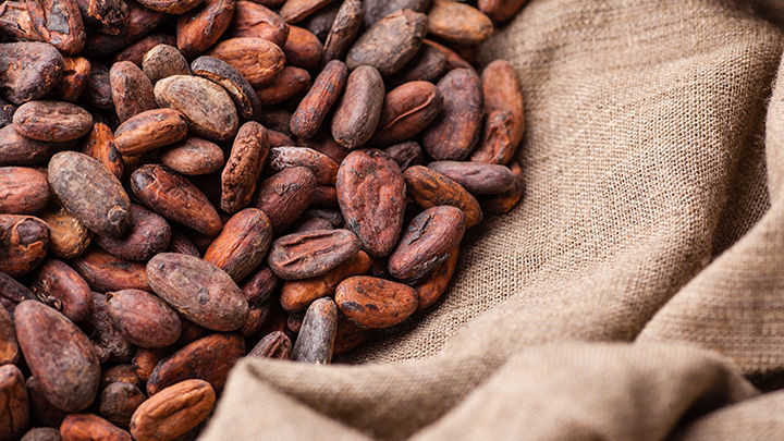 Rising Food Prices: Financial Risks and Implications to Emerging Markets