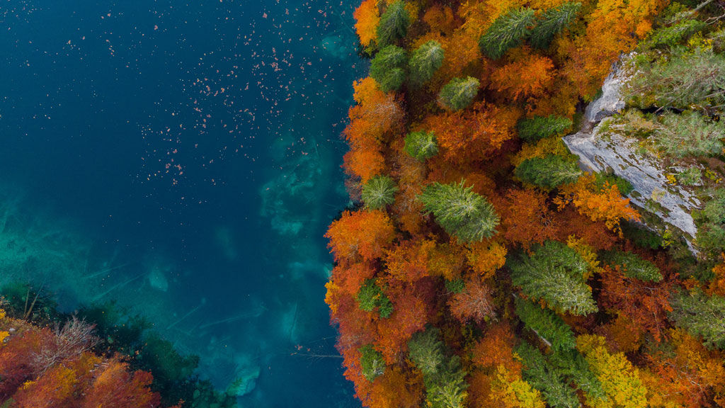 Magical autumn forest, top down aerial from above