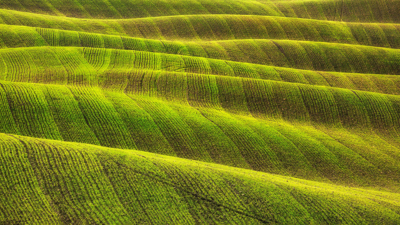 Field and tracks texture abstract on sunset in winter. Tuscany rolling hills, Italy