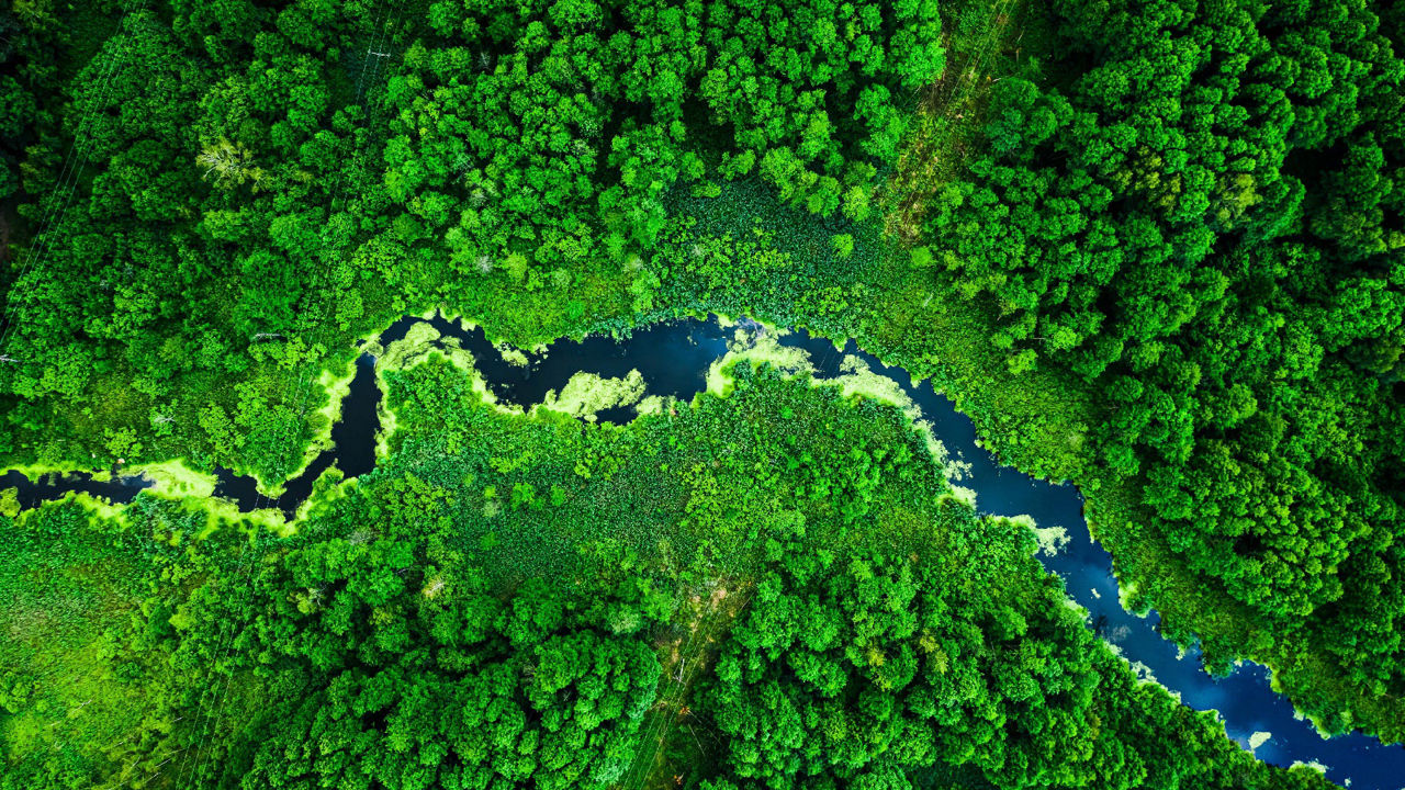 Capitalizing on the moment: Nine ways new ESG reporting rules can help investors