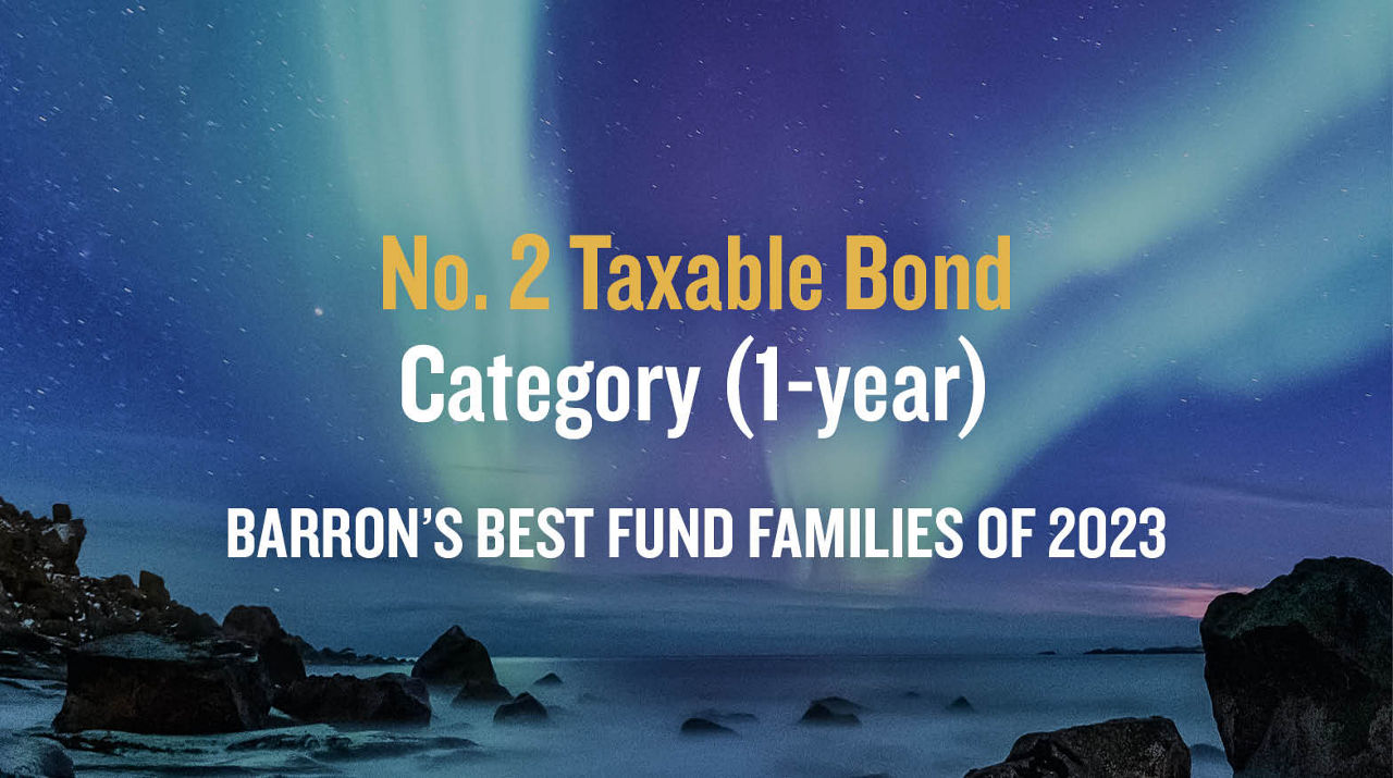 No. 2 Taxable Bond Category (1-year) (2024)