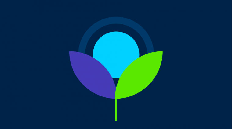 Innovative Growth