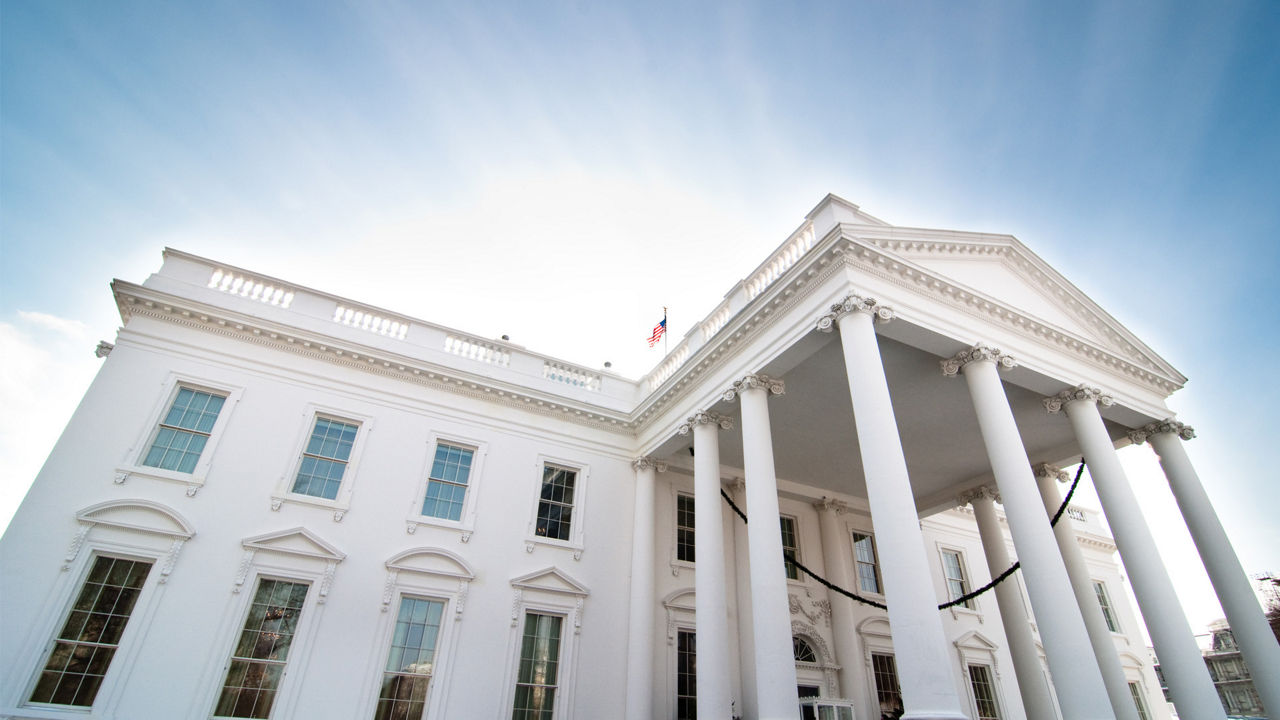 President Trump’s Early Policy, Cabinet, and Market Dynamics