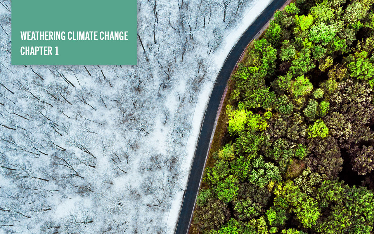 Climate change is today's reality