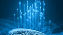 The Technology Frontier