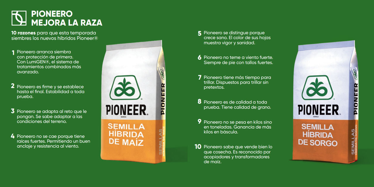 10 razones