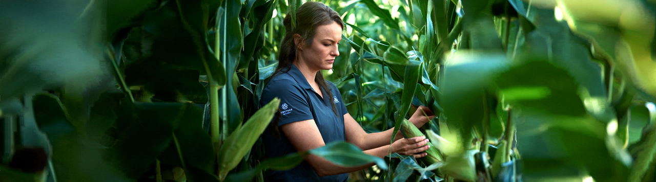 Agronomía Pioneer