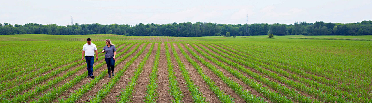 2019_Brevant_Reps_Corn_280_1440x400