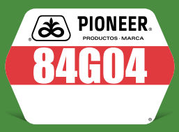 84G04