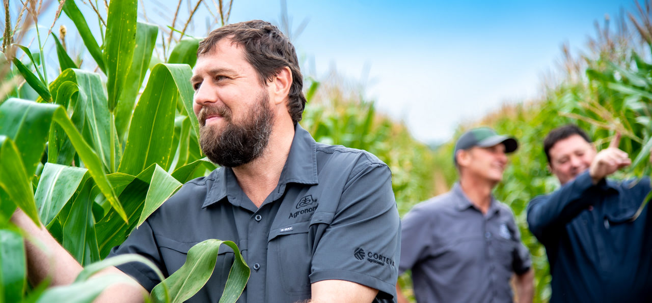 Agronomy Page Images