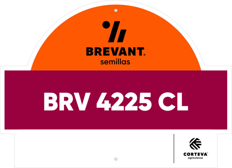 BRV_4225_CL