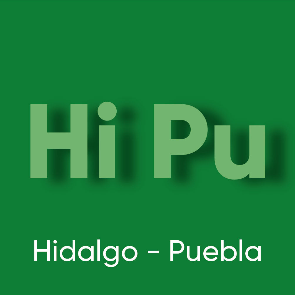 Hidalgo puebla