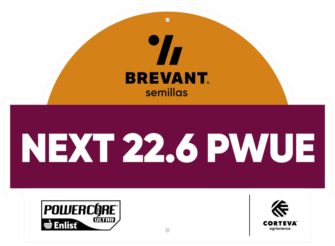 Cartel-5_next_226_logo_alt