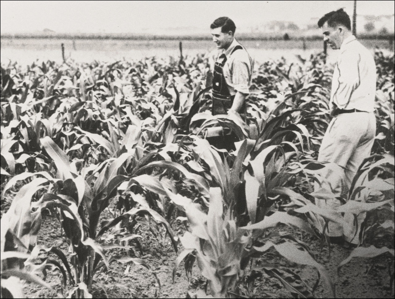 One-to-one Since 1926 - Historic