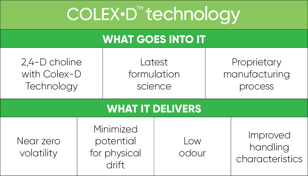 Colex-D technology infographic