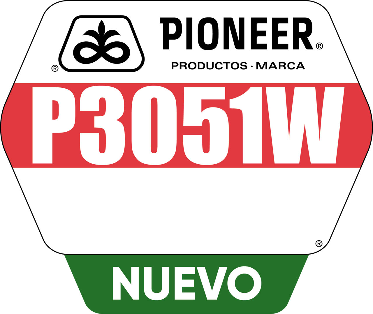 P3051W