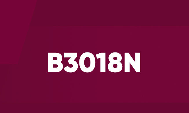 B3018N Icon