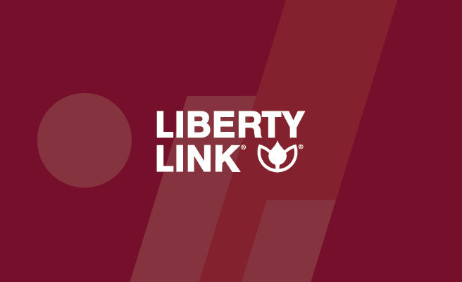 libertylink logo