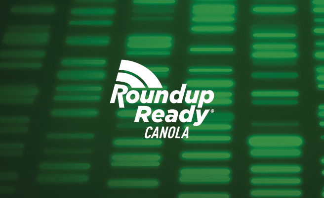Roundup Ready Canola Logo