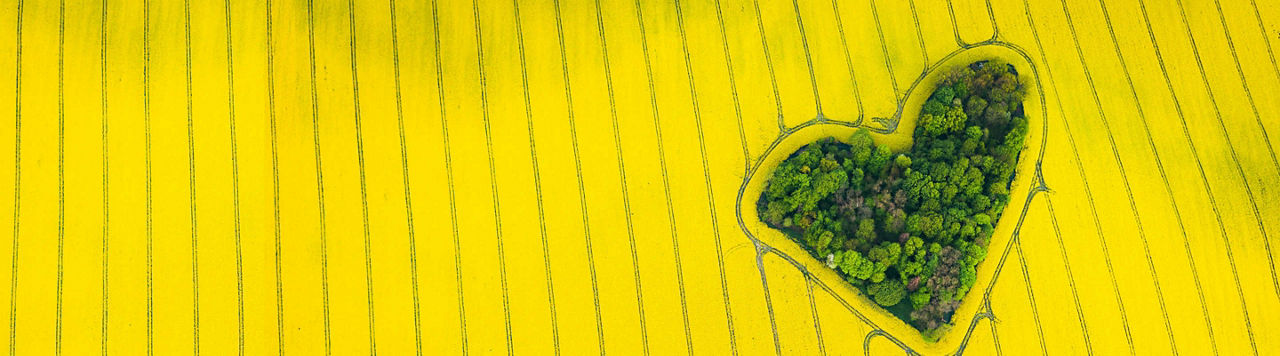 Place des Agriculteurs : un écosystème digital pour vous accompagner partout ! 